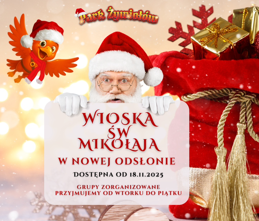 You are currently viewing 🎅🎈 Balonowa Wioska Świętego Mikołaja ! 🎈🎅